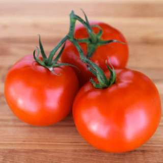 How to Seed Tomatoes