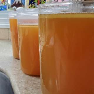 Turkey Stock