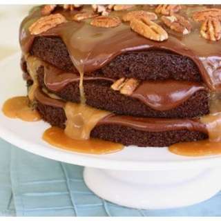 Turtle Cake