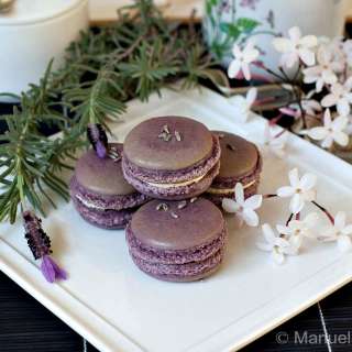 Lavender and Jasmine Macarons