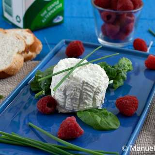 Home-made Chèvre