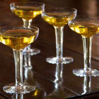 Bitter Herb Cocktail