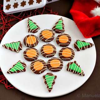 Chocolate Cookies with Orange and Mint Glazes