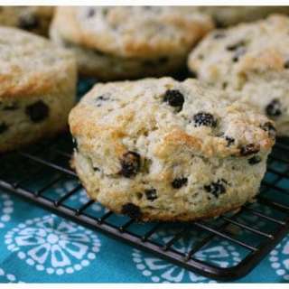 Wild Blueberry Scones