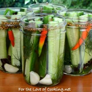Quick Refrigerator Dill Pickles