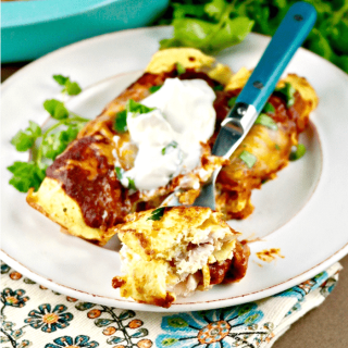 Low Carb Enchiladas with Cheesy Chicken Filling