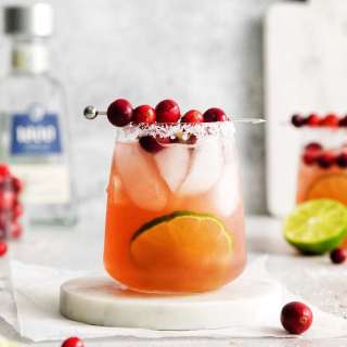 Cranberry Margarita