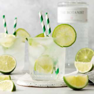 Classic Gin & Tonic
