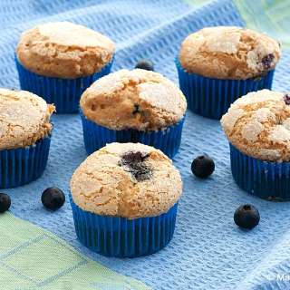 Low Fodmap Blueberry Muffins