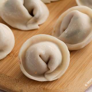Low Fodmap Pork Wontons