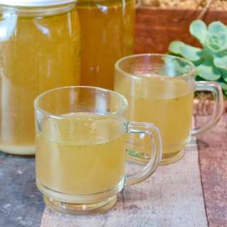 Instant Pot Bone Broth Recipe