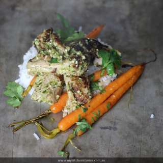 Coriander Macadamia Pesto