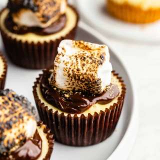 Mini S'mores Cheesecakes