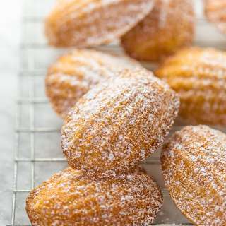 Classic French Madeleines