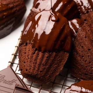 Double Chocolate Madeleines