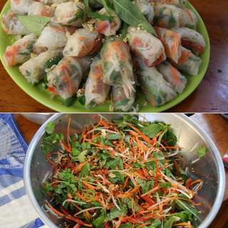 Vietnamese Rice Paper Rolls