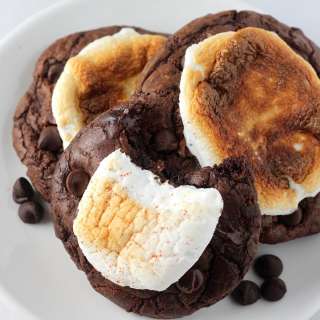 Double Chocolate Hot Cocoa Cookies