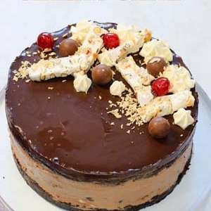 Chocolate Nutella Ice Cream Cake