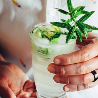 Lemon Verbena Gin and Tonic