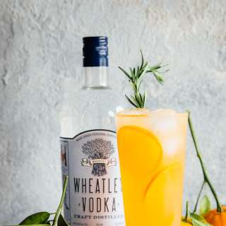 Vodka Citrus Sparkler
