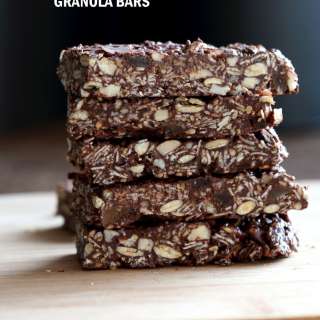 Seedy Chocolate No Bake Granola Bars
