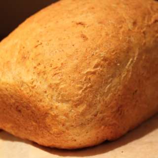 Olive Oil Sandwich Loaf and Pizza Base