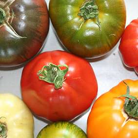 Marinated Tomato Salad