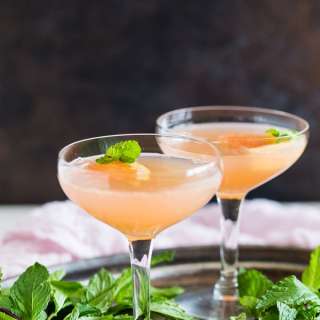Grapefruit Campari Cocktail