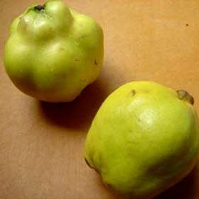 Poached Quince