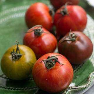 Preserved Tomatoes recipe (Confit of tomatoes)