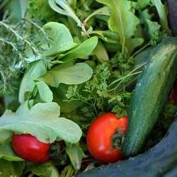French Vinaigrette