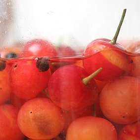 Pickled Sour Cherries
