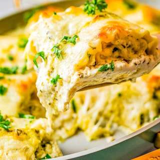 White Chicken Lasagna Roll Ups