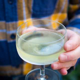 The Alaska Cocktail