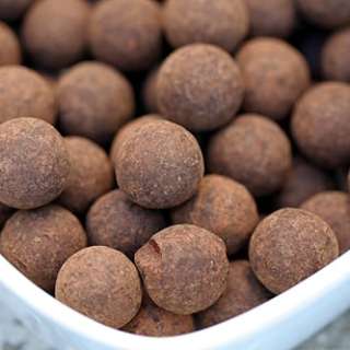 Warm Individual Spiced Chocolate Cakes