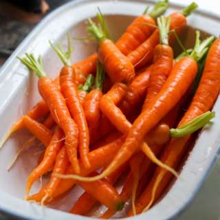 Gâteau aux carottes