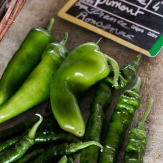 Pickled Jalapenos