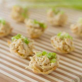 Chicken Curry Bites