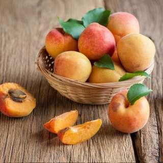 Apricot Glaze Recipe