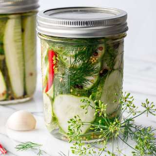 Spicy Garlic Dill Refrigerator Pickles
