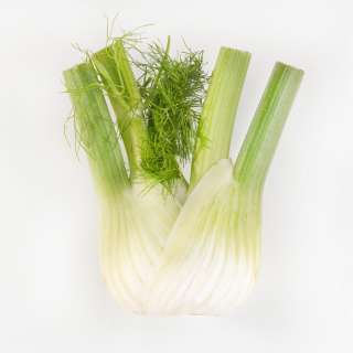 Braised Fennel