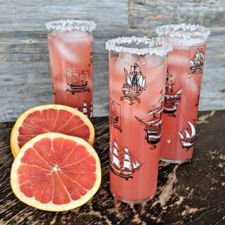 The Salty Dog