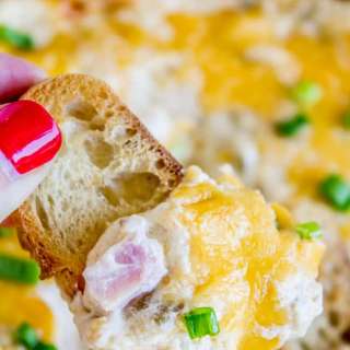 Ham and Cheese Dip