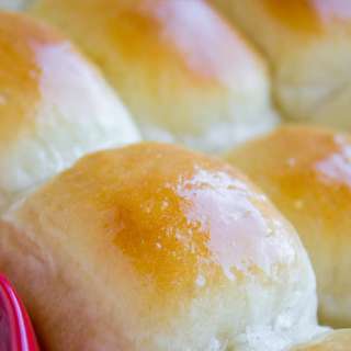 Homemade Dinner Rolls Recipe