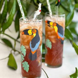 The Jungle Bird