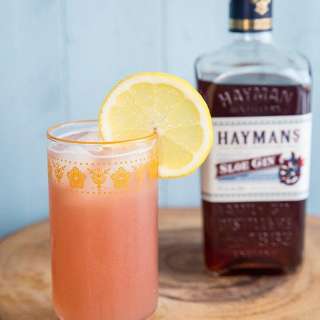 Sloe Gin Fizz Recipe