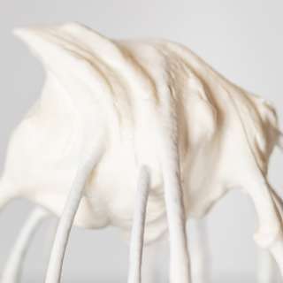 How to Make Whipped Cream