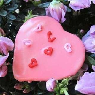 Cherry Sugar Cookies