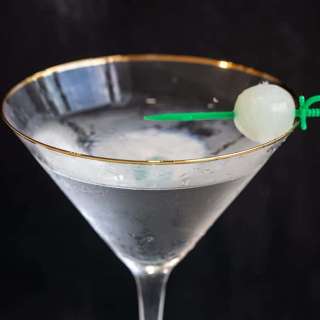 Gibson Cocktail