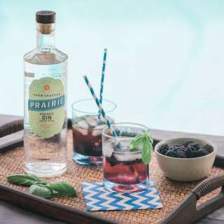 Blackberry-Ginger Gin Cocktails